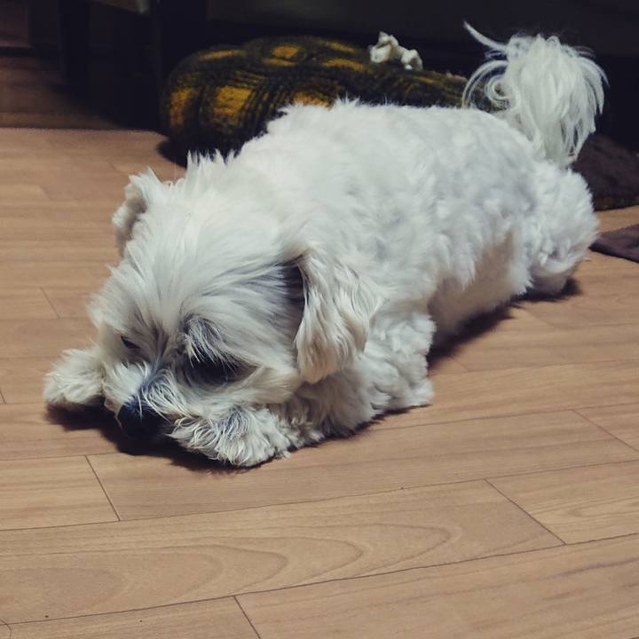 7d62b9d2 beaf 49b5 8fbb 2af2788c3c02 1542275031824