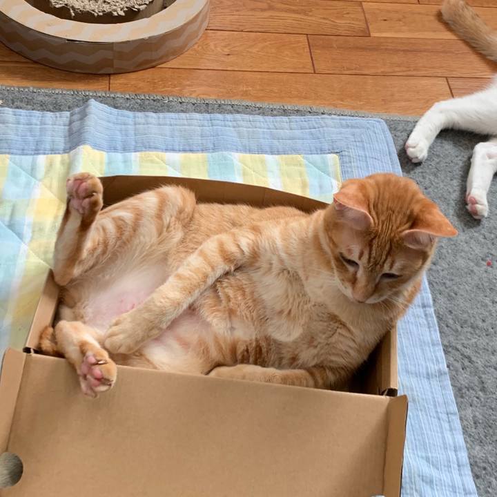 7d62d6cd c187 4614 b447 efcaca1f8c6d 1557036072482