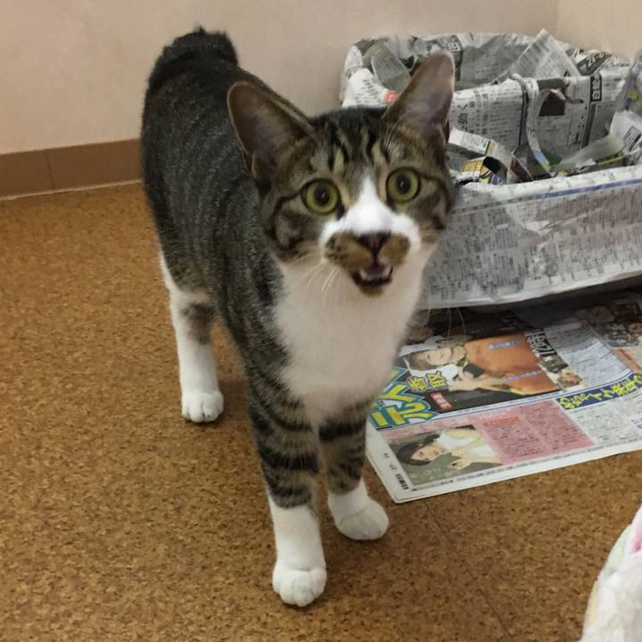 7d630c60 618c 4c37 9ca9 8a1f26ad0b90 1516179190240