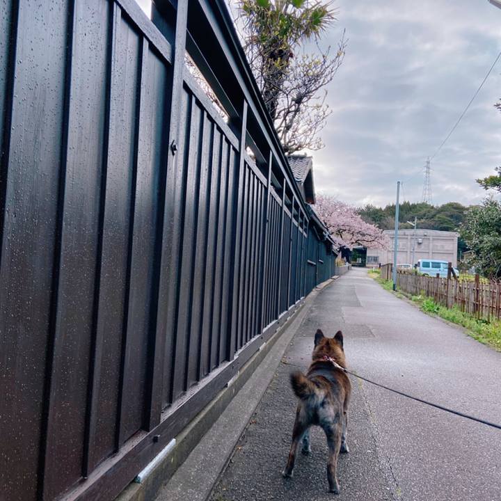 7d6311e2 e2af 4d4f bd56 b885852b842e 1587247505958