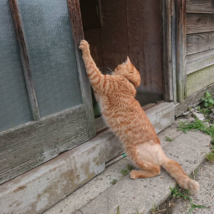 7d63239a dcbc 4401 ac40 5260fdcdfa28 1654808280761