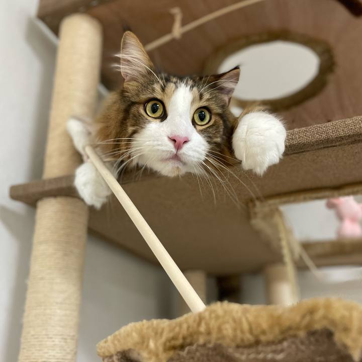 7d63343f 9d8d 4779 bab6 b19293bbcbaf 1666994909809