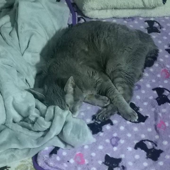 7d636734 f731 41c3 8027 cf645da91cf5 1697651245955