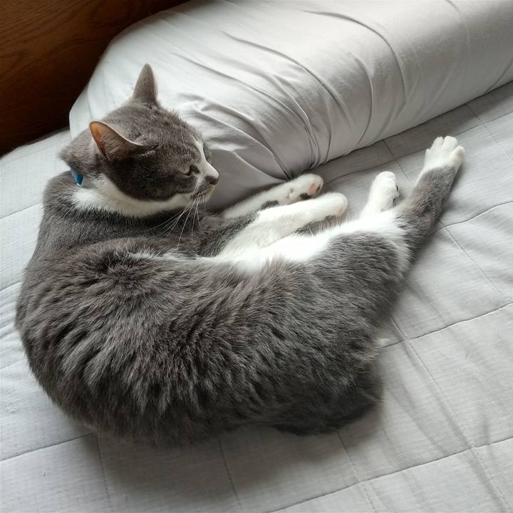 7d63741f b1f6 4e28 af7c 840dd5a4c97f 1648354470364