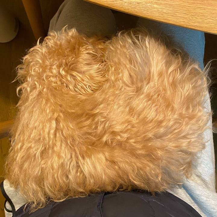 7d638786 5949 4897 8629 d400cb029b1b 1674595287892