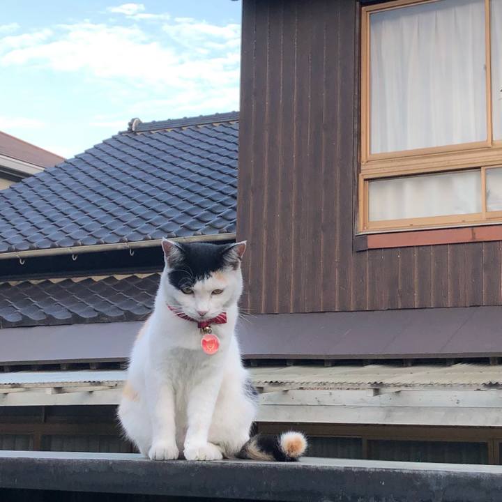 7d63a143 dde6 4a80 9d60 23a245218576 1633349559154