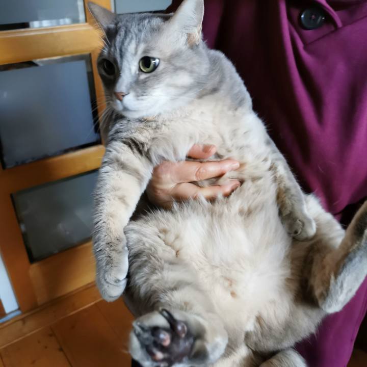 7d63ce5f 87e8 489c 8483 3ece20f6f34f 1642915619744