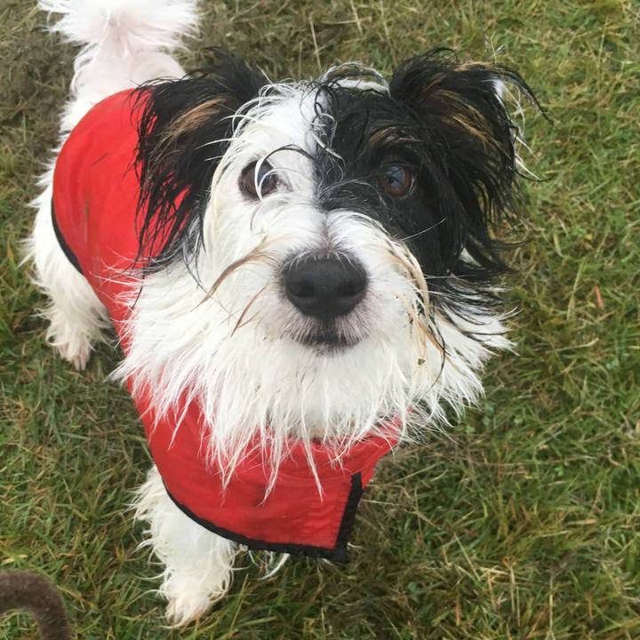 7d63cea5 b54f 45cb 8924 b5280944418d 1508641648800