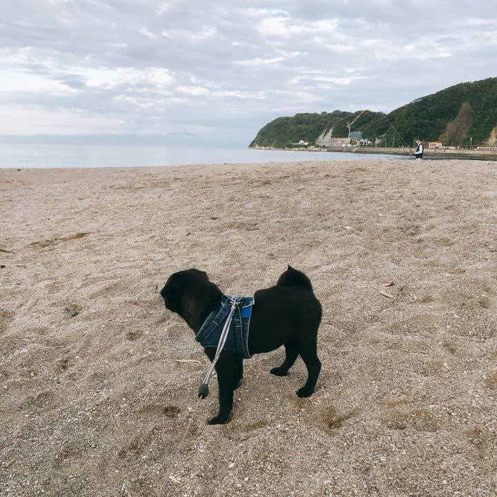 7d640387 ef35 4725 a63b d8146678e89d 1592685312325