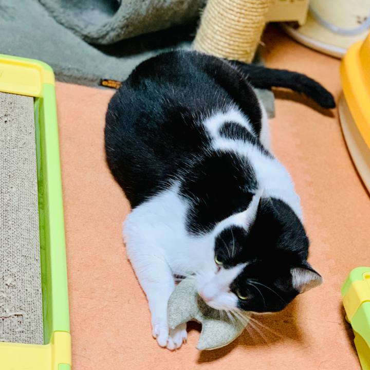 7d640aa4 5e8e 4b40 bdf1 a73d3486a00c 1604198394547