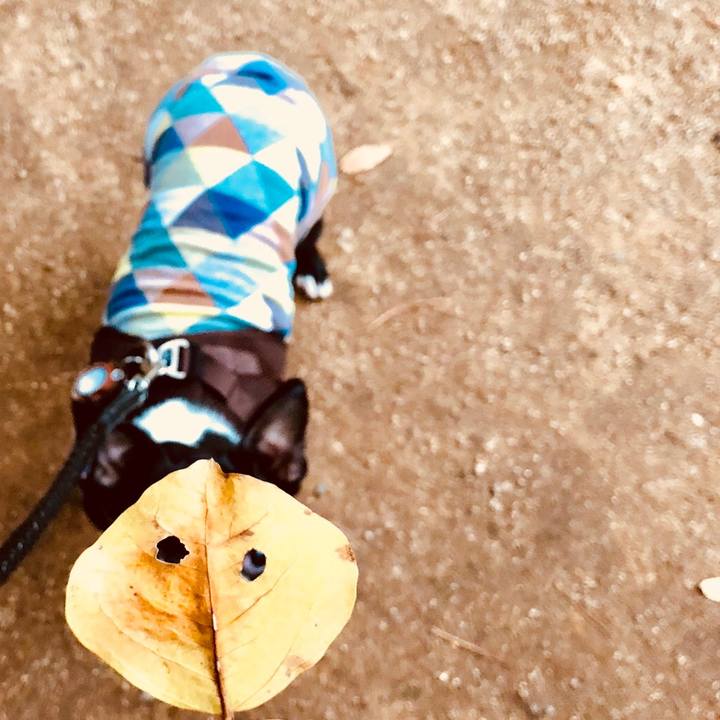 7d640f18 b8f2 48f2 9710 d2592449b105 1512029820724