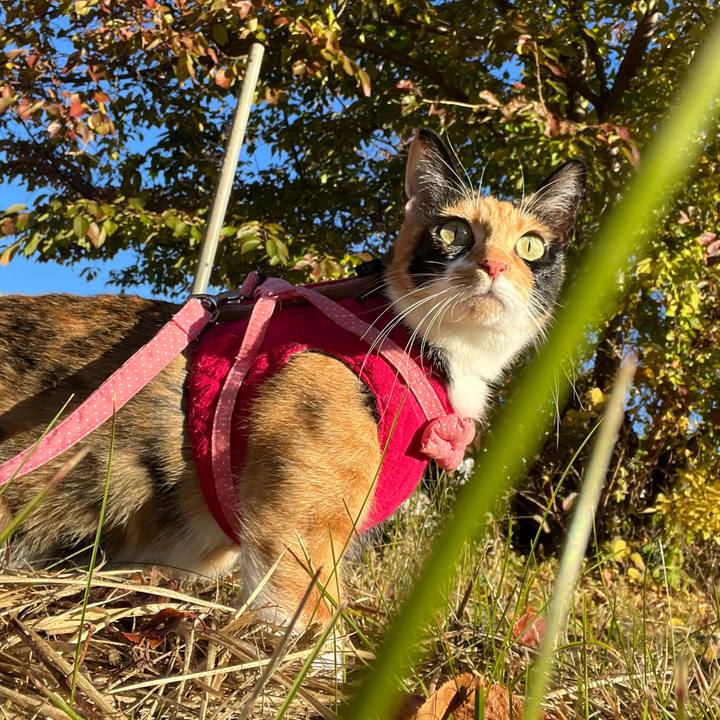 7d6450c8 e003 4fed a4f5 57903f058bf5 1667212976702