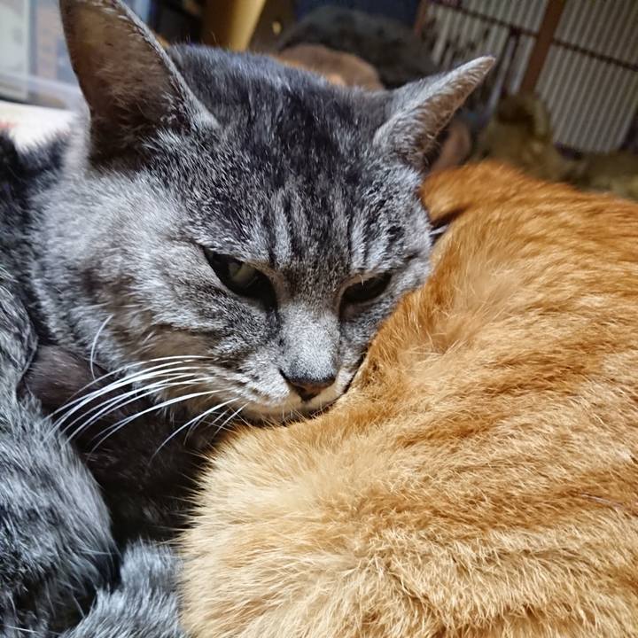 7d64a054 fd9d 4e73 b1aa 6bca835b5bd4 1578225843197