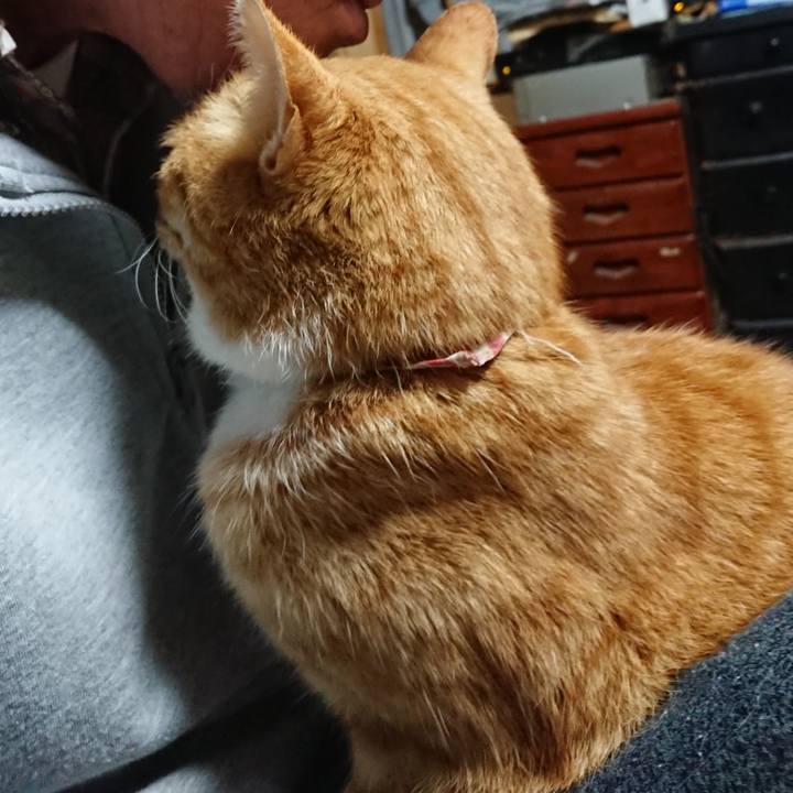 7d64fbd0 adb1 4bbe bb02 672e26af71e4 1607115689716