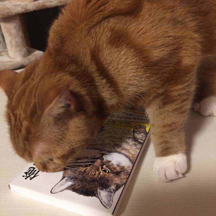 7d652a25 6e24 4098 9543 88dffbc73bf5 1525612945383