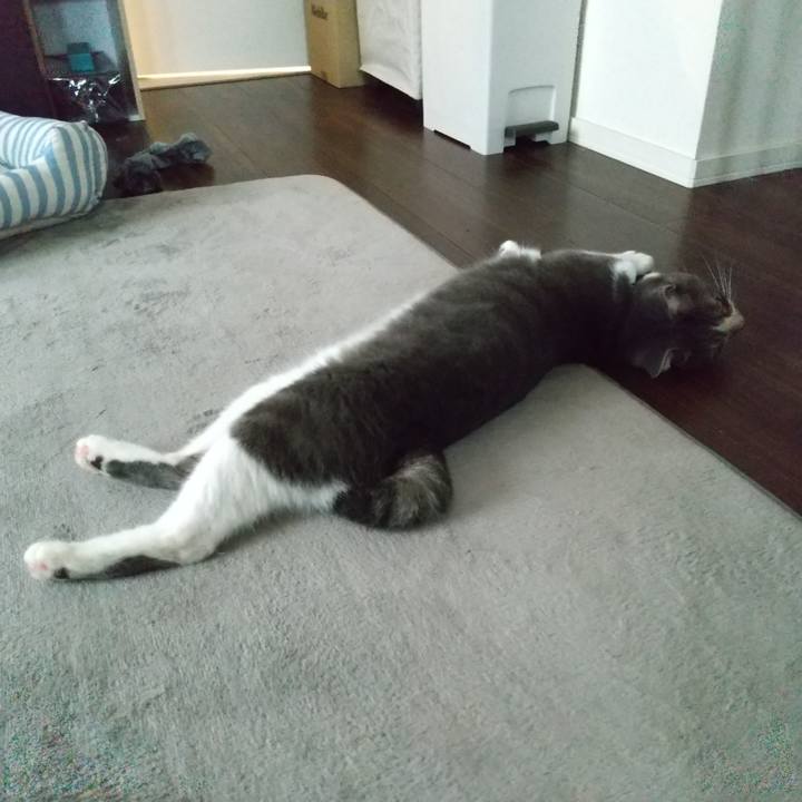 7d655a04 72ce 4c00 9ceb 0d2e9388a487 1599001953167