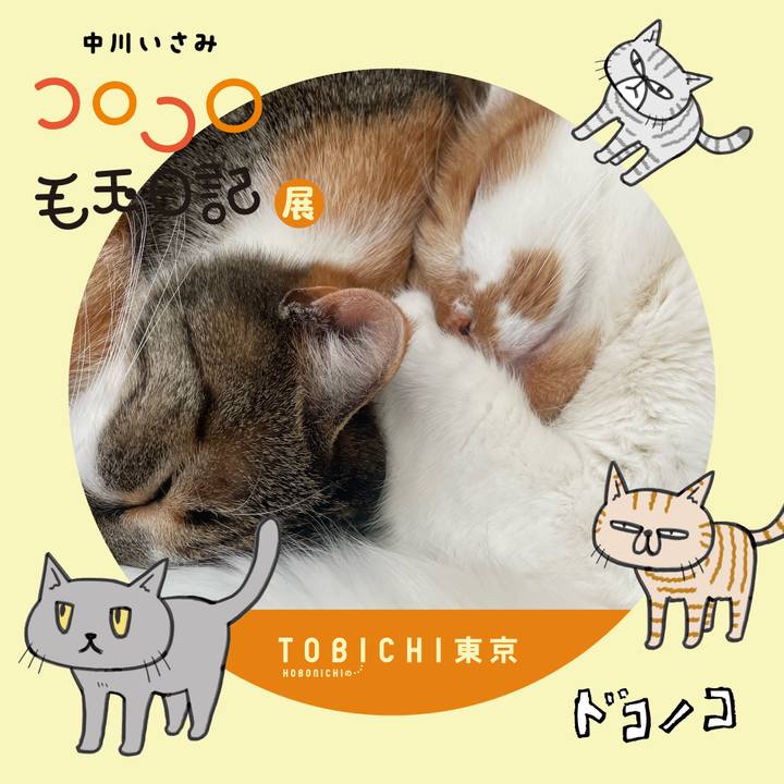 7d6590bb 58db 4725 9eae 98d492293d6d 1740190471952