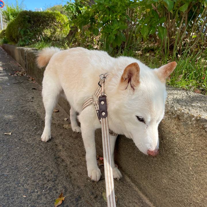 7d65a502 27f4 4df8 81dc 0643e26e35a1 1636086752265