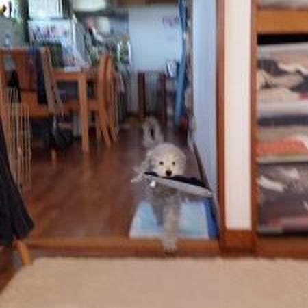 7d65a96b 5d12 48fd afef e7c271f51240 1557485075785