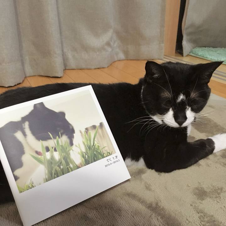 7d65aca4 ccff 4982 9dad 8d517a7b8507 1759809026219