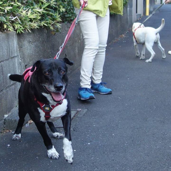 7d65b74d 7f85 452c 8f47 e86068d17da7 1698888440793