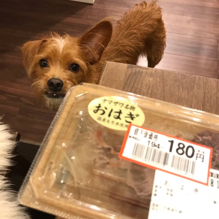 7d65c8c5 1cb1 48dd b16d b58984d9fcd3 1539775575002