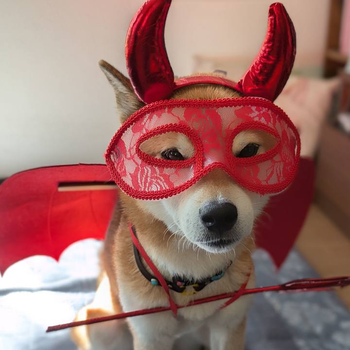 7d65e376 f2d1 4576 94af 9f87b5a392b4 1727909776136