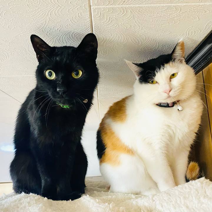 7d661473 564c 4e09 9810 6227cfd77491 1682212886643