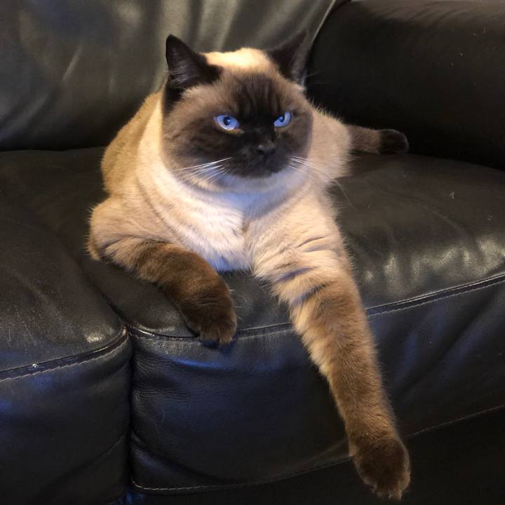 7d66265e 4124 48ab 8113 3f2951dba5da 1617885548456