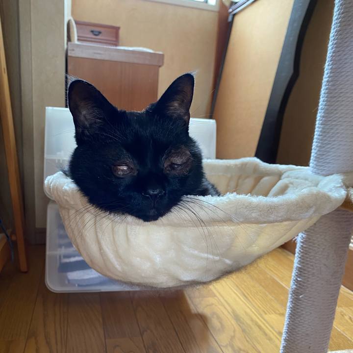 7d66e541 7c0e 41b1 9004 11823ec6f6f9 1631854714211