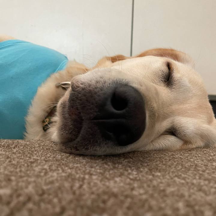 7d670b5f d7ee 4dee 9a31 a204013b2fd8 1621980995932