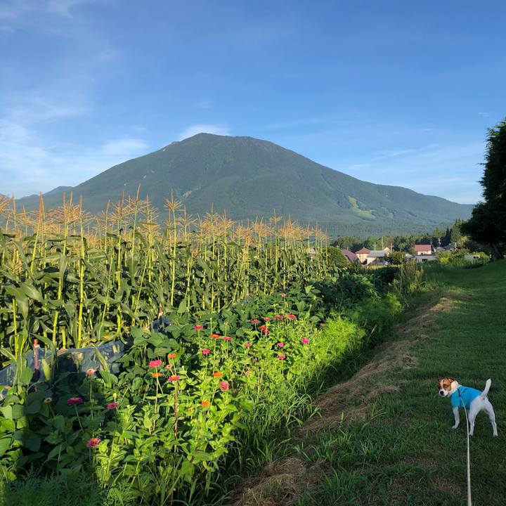 7d674664 fa19 4fa8 a2d6 ede0766e378d 1565650435481