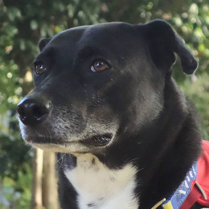 7d677072 9c44 47ae 9730 5827c6c2a209 1667697440660