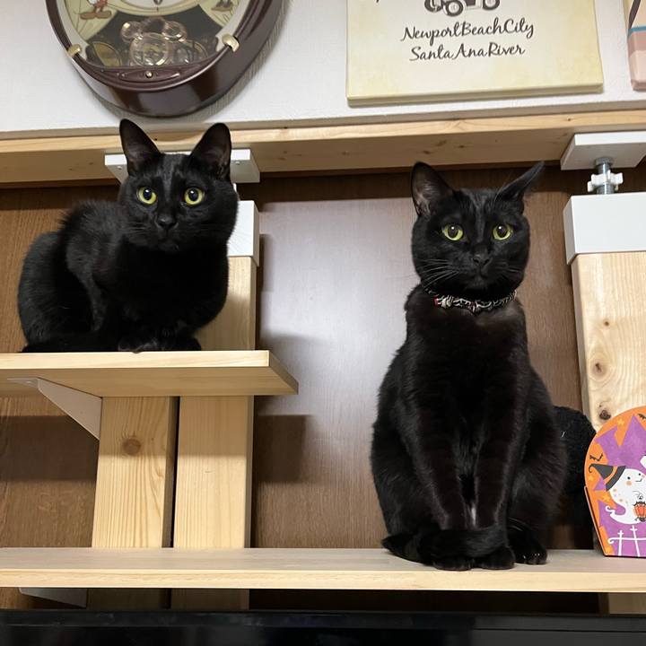 7d679356 7ad5 4b1d 952c 104b5671f1dd 1763567105416