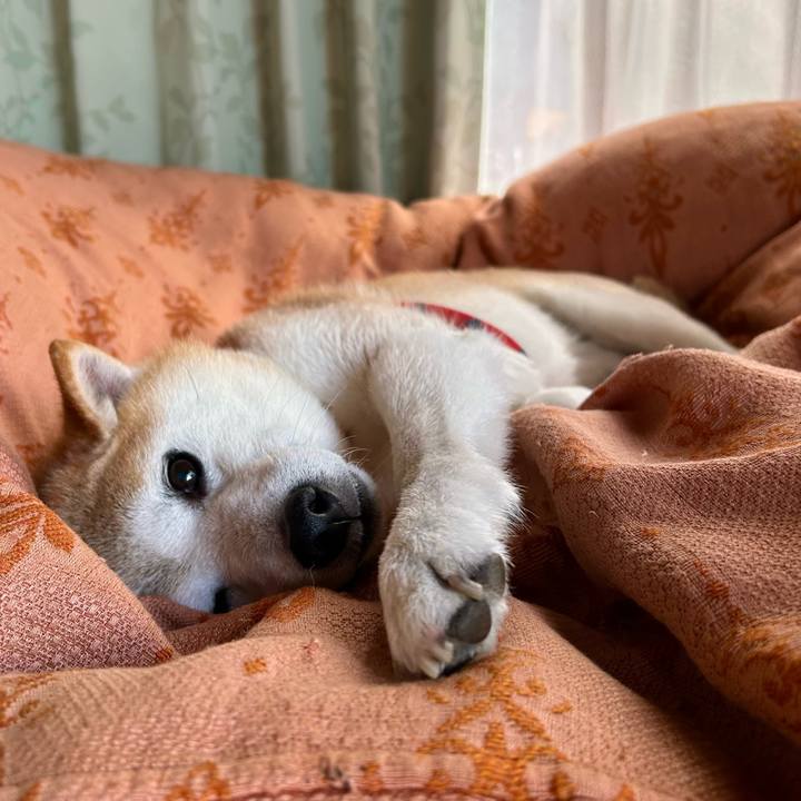 7d67d0ab f742 4bd4 b1fd 066c150a7192 1759487701351