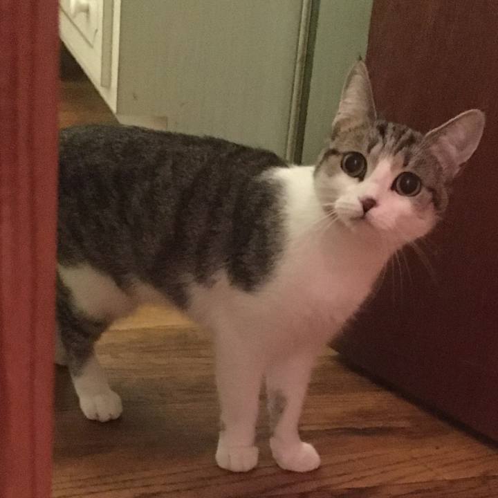 7d68087e 9d8a 4294 b09a 5c343b7c37ff 1632960861452