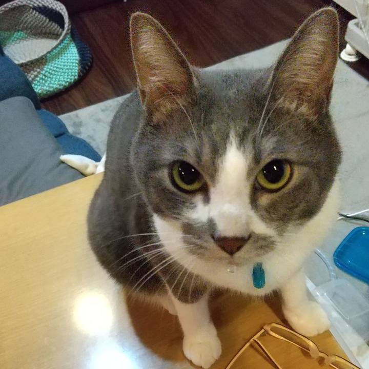 7d683aa6 5b47 42cb 990b 894575e2f801 1634857697077