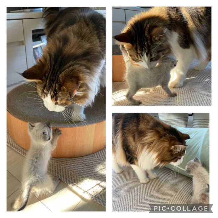 7d683d8d 2ceb 40d0 9a64 b7c23edd31f4 1684817024680