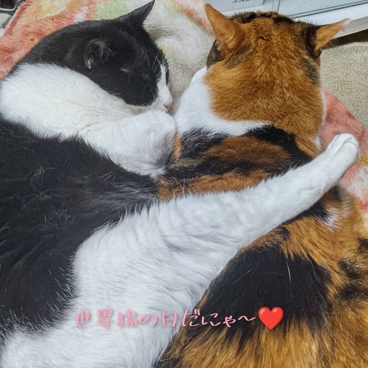 7d684eb5 689a 4474 aa5c 59fc269efb57 1628379006431