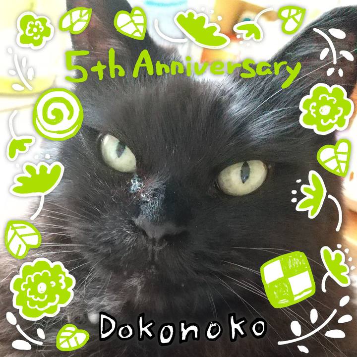 7d686c4f 301b 4e7e 8bab fb2542cb9a22 1622861595873