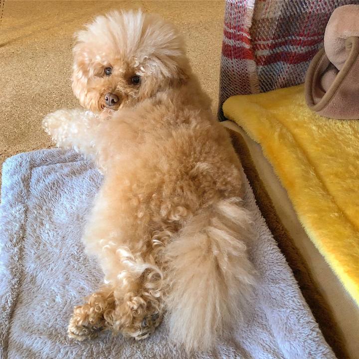 7d686c98 4e98 45dc 9284 403de7755f5c 1521364050520