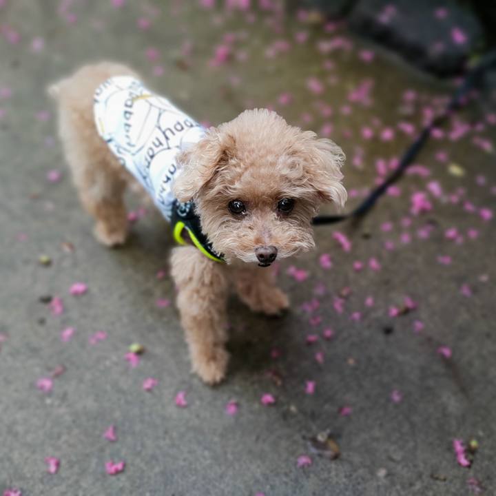 7d68acf1 5619 4315 b20f d88f823758cb 1630653769579