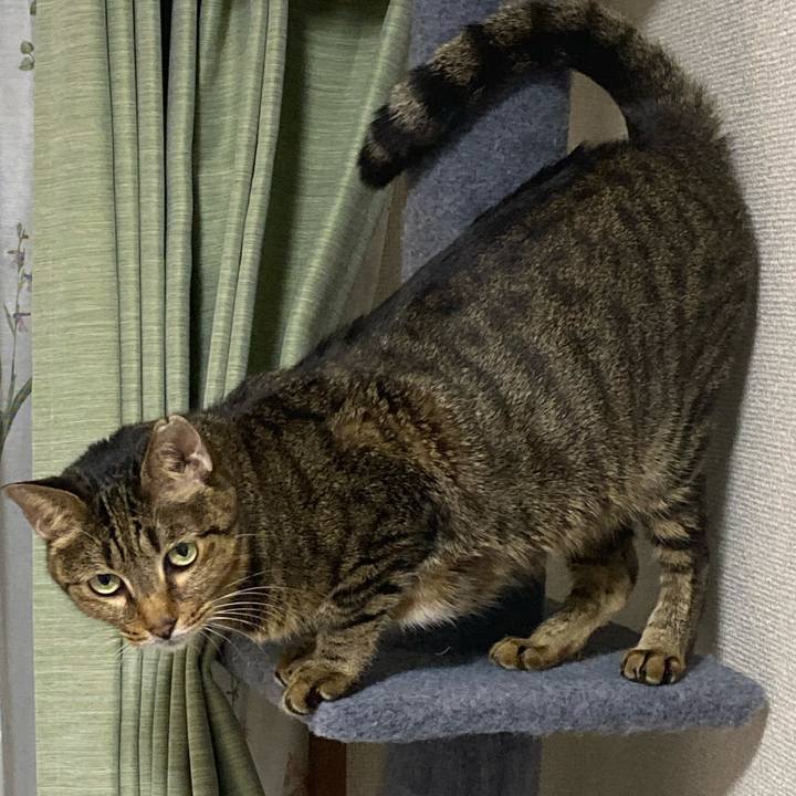 7d68b737 d72e 459a 83be b947f551f025 1702212922691