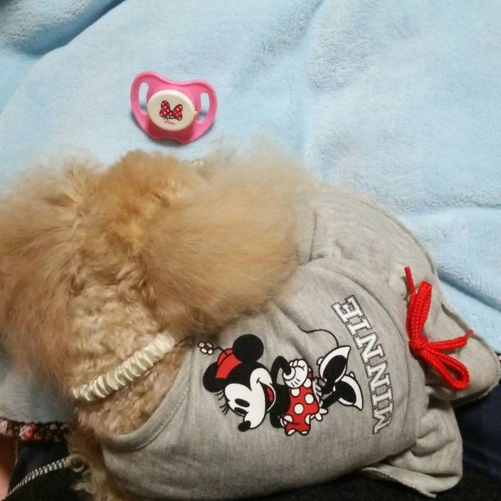 7d68b8b6 3dcb 4263 83df 74f7150eaa30 1520170069799