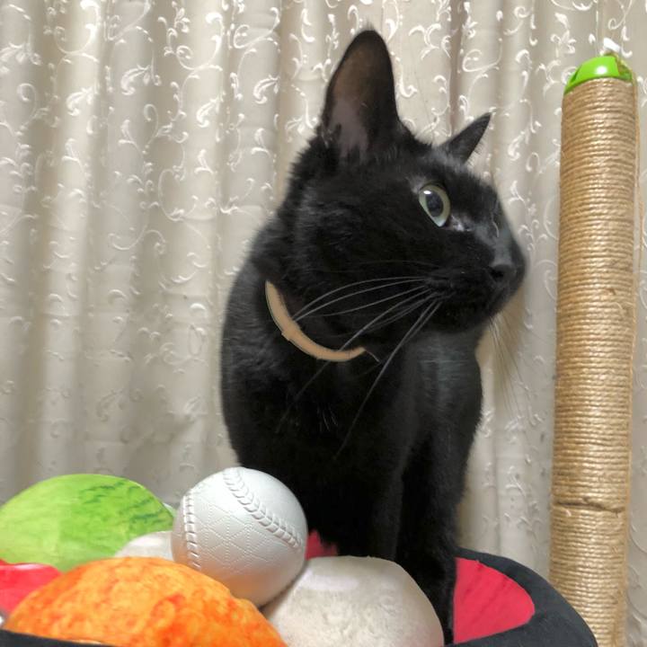 7d68bb2d 59e7 4bd0 a61b be116821f62c 1617980018458