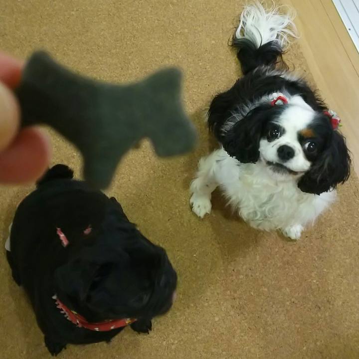 7d68bfb9 2b97 403b b8d5 f2f242dc37b7 1537273076072