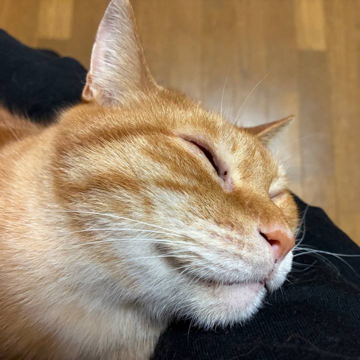 7d68cf4d 3239 4c9d abee 1c262fb46bed 1744812532486