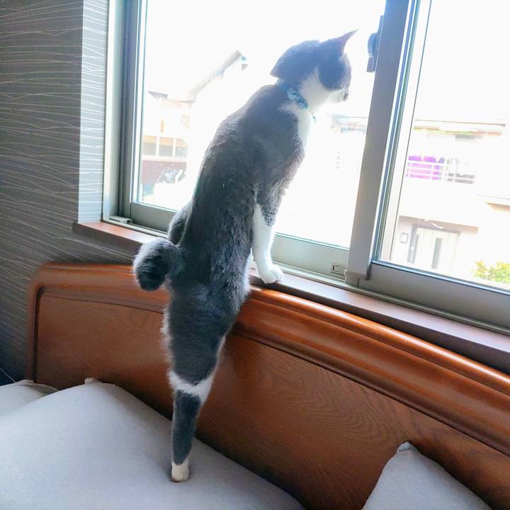 7d691859 d839 4850 adba ae8f1aff4cba 1670051301972