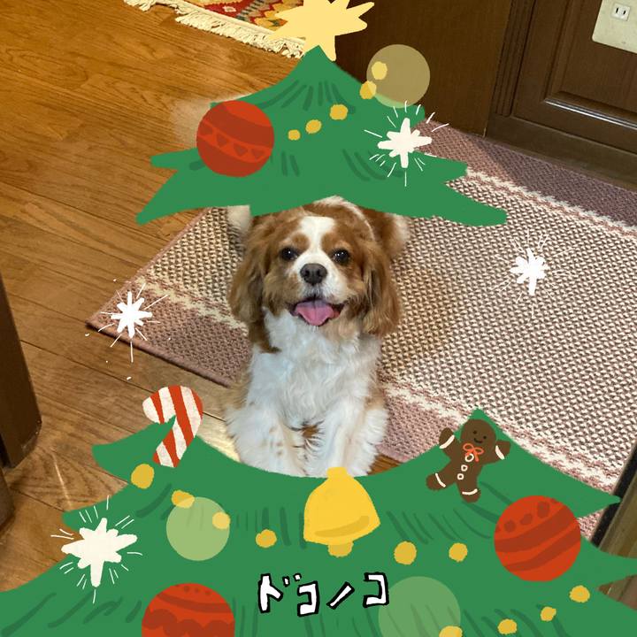 7d6950b6 3dea 4ccd ba67 e7b2307243e9 1764205394660