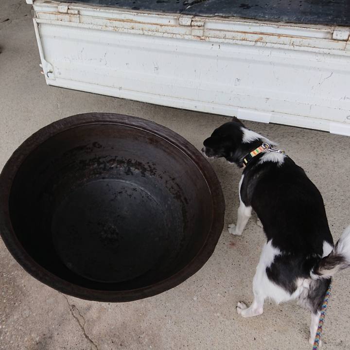 7d695f33 ab77 42bb a29e c101b9da30ca 1551679413011